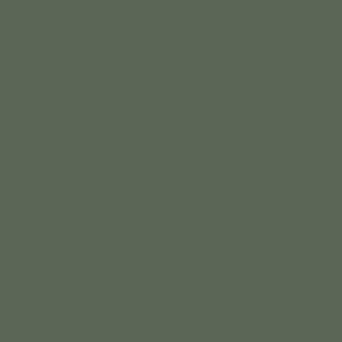 Forest Green matte interieurfolie kleurstaal